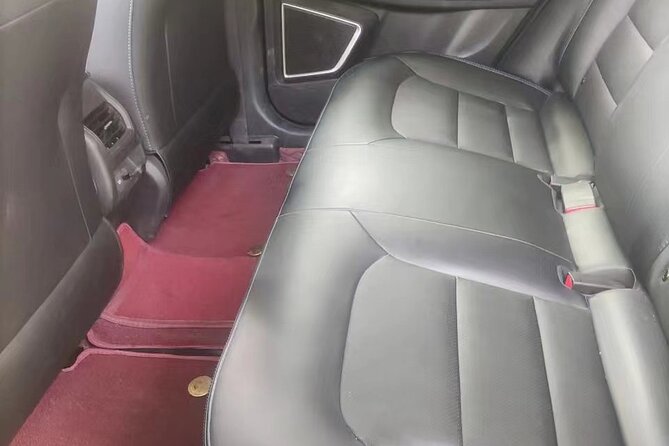 Luoyang private car for Longmen Grottoes and Shaolin temple - Why this private day trip makes sense