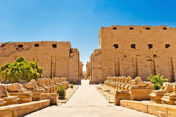 Luxor Private Car Tour from Marsa Alam (Private) - What the $113.34 price really buys