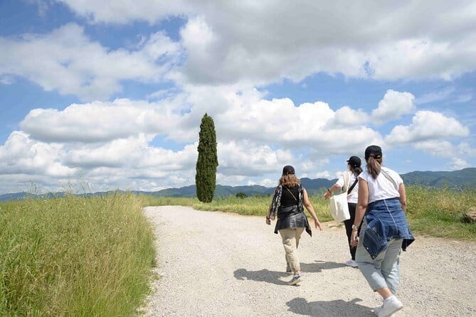 Luxury Chauffeur Service THE MALL from Florence to Reggello - Who should book this Florence shopping transfer?