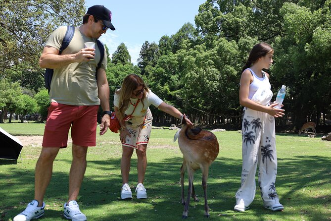 Luxury Kyoto 1-Day Private Car Tour with Nara & Osaka Options - Fushimi Inari and the red torii gates