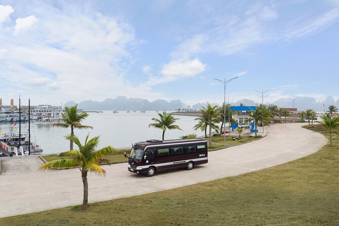 Luxury Limousine Bus transfer Ha Noi Old Quarter to Ha Long Bay - How the service handles luggage and group size