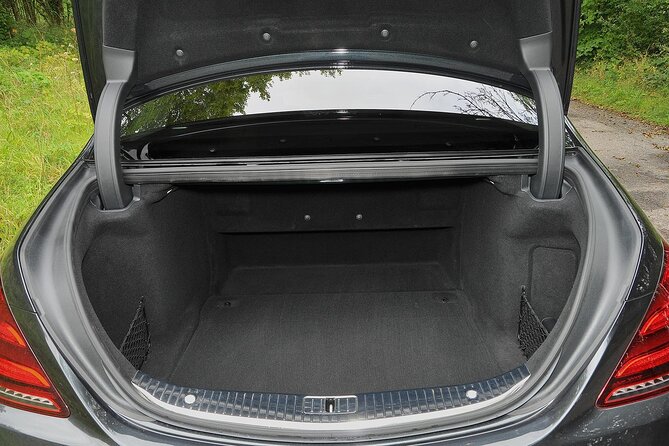 Luxury Minivan Transfer from Copenhagen Port to Copenhagen CPH - Timing your pickup around disembarkation