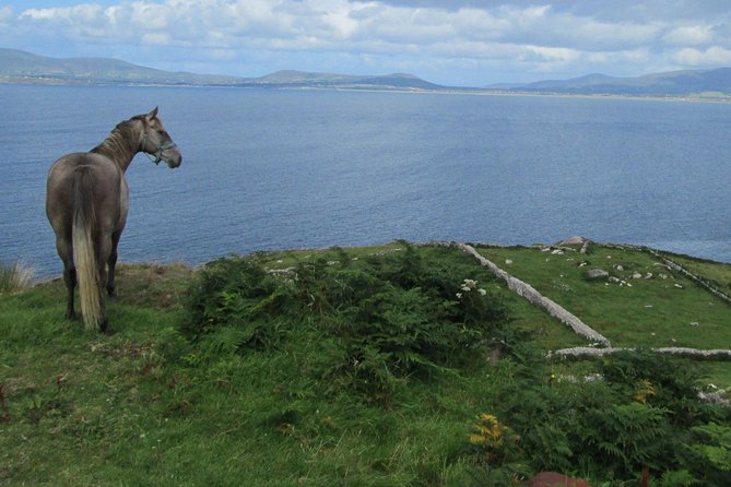 Luxury Photography Day Tour on Ring of Kerry and Skellig Ring - Fully Guided and Chauffeured - Weather, clothing, and photography planning