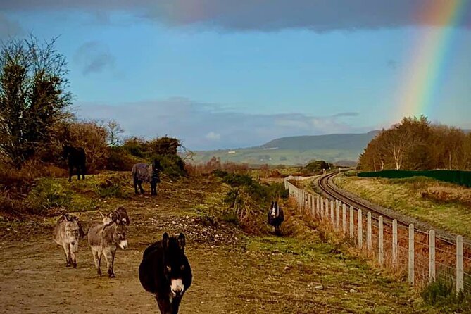Luxury Photography Day Tour on Ring of Kerry and Skellig Ring - Fully Guided and Chauffeured - Is $1,020.20 good value?