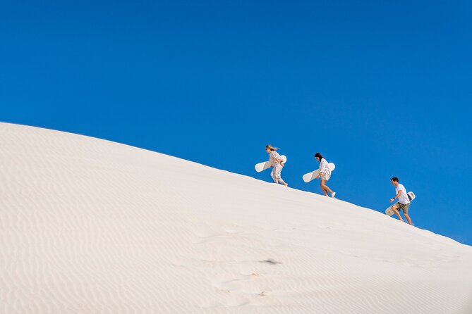 Luxury Pinnacles Tour- Private Chauffeur-Tailored Schedule - Cervantes brings a sensible lunch break