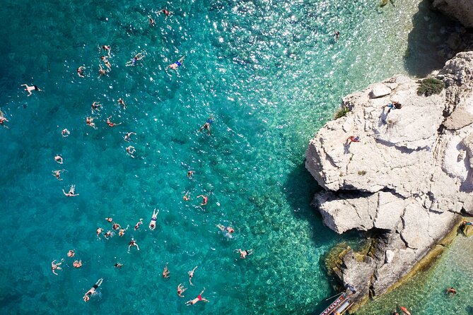 Luxury Transfer and 3 Island Cruise from Kos - Who will get the most from this cruise
