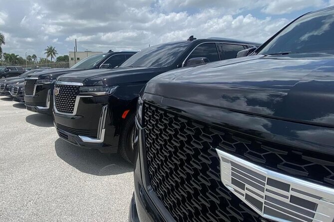 Luxury Transfer From Port of Miami to Miami and Fort Lauderdale - Leaving PortMiami without the rideshare scramble