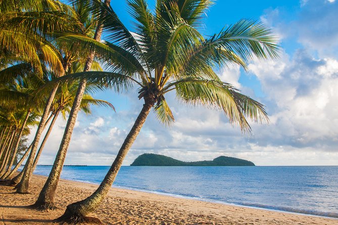 Luxury Van, Private Transfer, Cairns Airport - Palm Cove. - Leaving Cairns Airport without the usual fuss