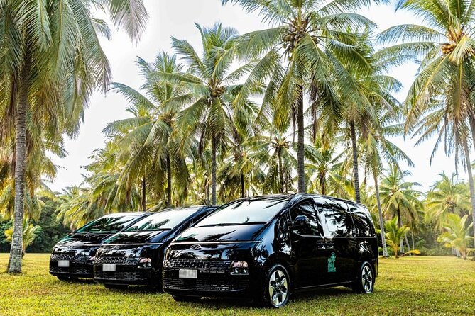 Luxury Van, Private Transfer, Cairns Airport - Port Douglas. - Booking a return trip from Port Douglas