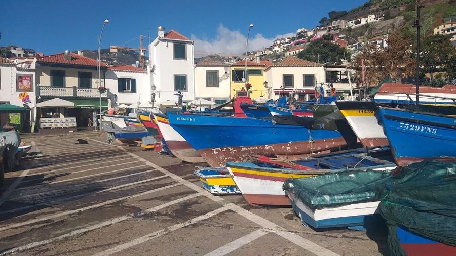 Madeira Private 4-Seater Mercedes VIP - Cruise pickup and timing that actually helps