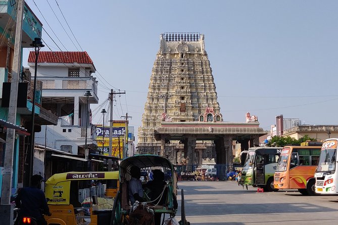 Mahabalipuram and Kanchipuram Day trip from Chennai by Private car with Guide - Arjuna’s Penance turns a rock face into a story