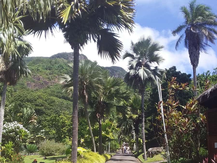 Mahé: Customizable Private Tour of Island with Driver - Who should book this Mahé tour?
