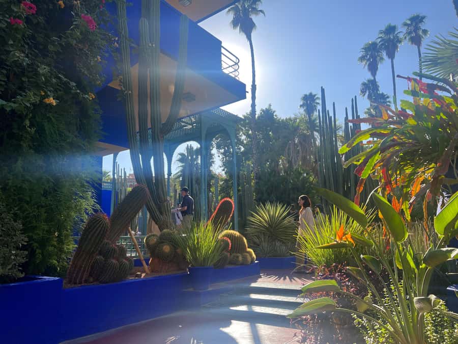 Marrakech City Tour, Private Fullday with Luxury Car - Yves Saint Laurent Museum, a compact design stop