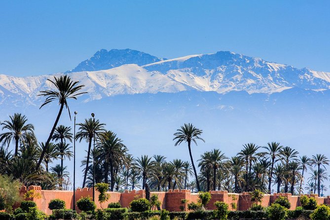 Marrakech city tour with driver - Key points to know before booking
