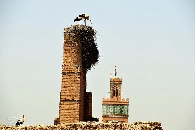 Marrakech city tour with driver - Half-day - Majorelle Garden and the need to book ahead
