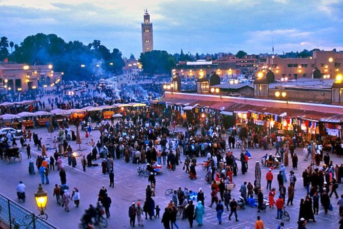 Marrakech City Tour with private driver - Majorelle Garden: Check Before You Go