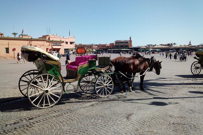 Marrakech sightseeing tour with driver - Jemaa el-Fna and the souks