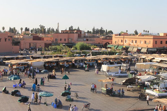 Marrakesh City Tour with Private Driver - Majorelle Gardens for a change of pace