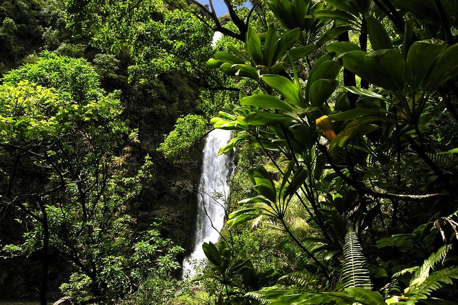Maui: Road to Hana Luxury Limo-Van Tour with Helicopter Flight - Reaching Hana and learning about the area