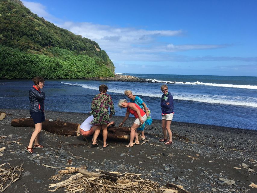 Maui: Road to Hana Private Adventure Tour with Luxury SUV - Wailua Falls and the first swim option