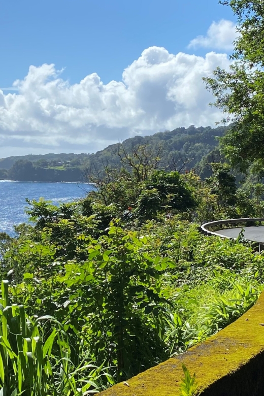 Maui: Road to Hana Private Adventure Tour with Luxury SUV - Pua’a Ka’a Falls and the second swim chance