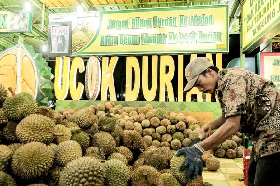 MEDAN : Private Car Driver For Medan Excursions - The crocodile farm and less expected stops