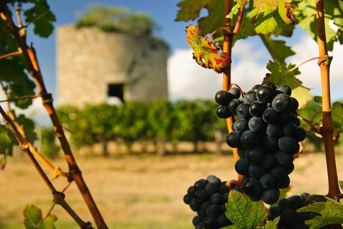 Médoc luxury wine tour aboard a Citroën DS Limousine Convertible - Key points to know before you book