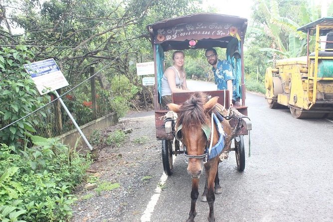 Mekong Delta Adventure by Private Car from Phu My Port - A full day with a fairly active rhythm
