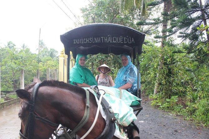Mekong Delta Adventure by Private Car from Phu My Port - Fruit orchards, honey farms, and traditional music