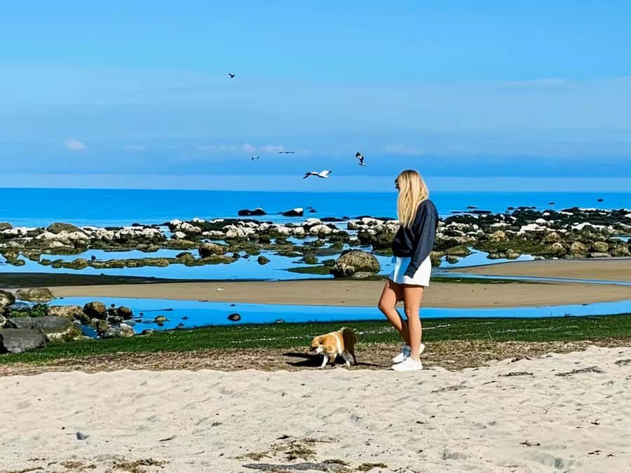 Melbourne Great Ocean Rd Reverse Tour London Bridge Wildlife - What the $46 price really buys you