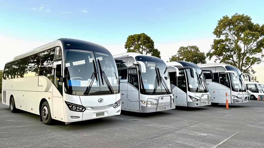 Melbourne Great Ocean Road Benz SmallGroup&LuxCoach BigGroup - Kennett River and the Otway forest