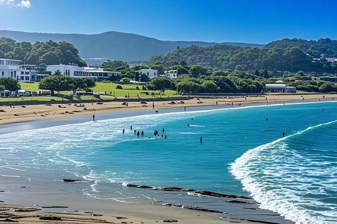 Melbourne: Great Ocean Road Luxury Coach Reverse Tour - Apollo Bay gives you a real break