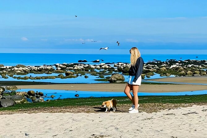 Melbourne: Great Ocean Road Luxury Coach Reverse Tour - Great Otway National Park and the chance to spot koalas