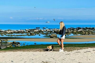 Melbourne Great Ocean Road Reverse Tour + London Bridge wildlife