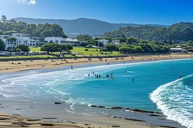 Melbourne Great Ocean Road Reverse Tour + London Bridge wildlife - The unnamed park stop and the chance of wildlife
