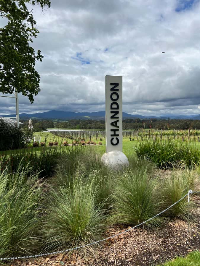 Melbourne: Yarra Valley Wineries Private Day Tour - Rochford Wines and the value of a private route