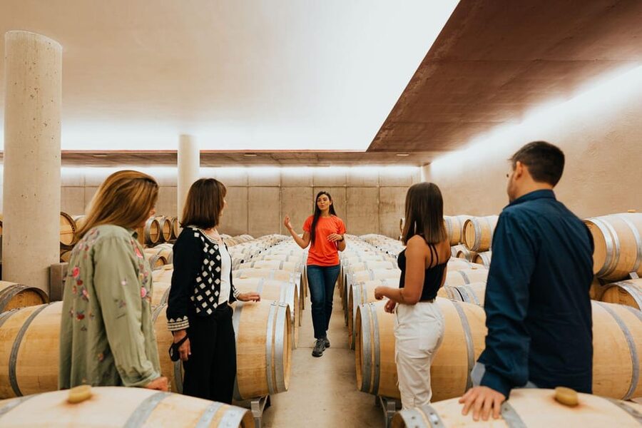 Milan Day Trips: Barolo Wine Tour with a Private Driver - Key points to know before booking