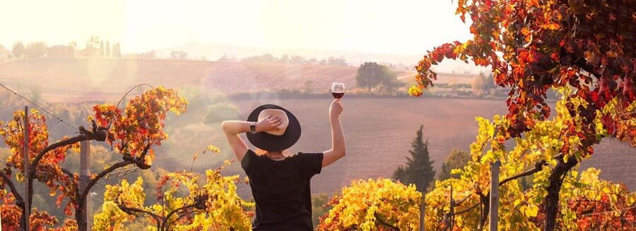 Milan Day Trips: Barolo Wine Tour with a Private Driver - Why this Milan day trip reaches beyond the city
