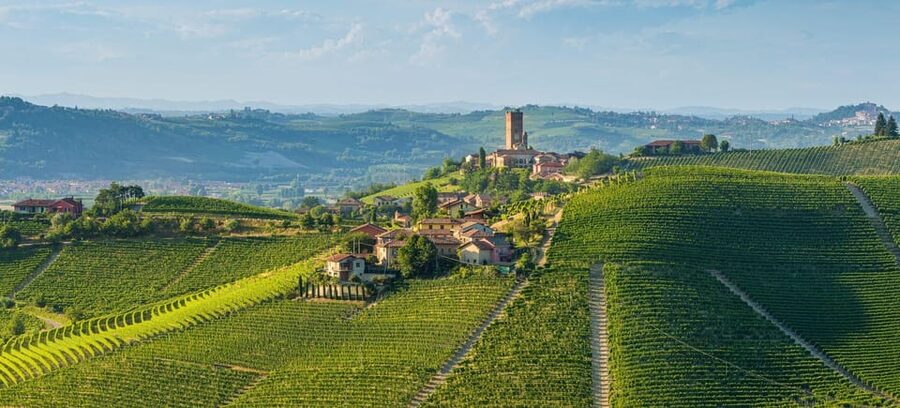 Milan Day Trips: Barolo Wine Tour with a Private Driver - First winery: begin with Piedmont’s famous reds
