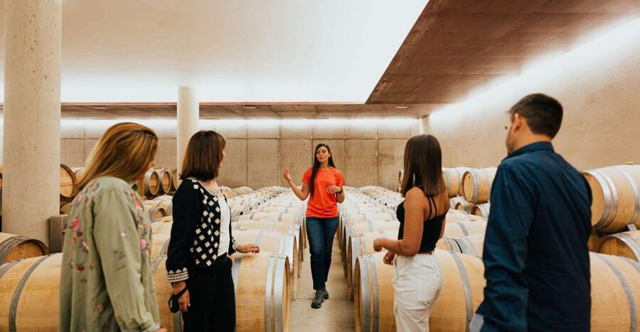Milan Day Trips: Barolo Wine Tour with a Private Driver - A Piedmont lunch near Barolo