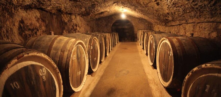 Milan Day Trips: Barolo Wine Tour with a Private Driver - Grinzane Cavour and its castle