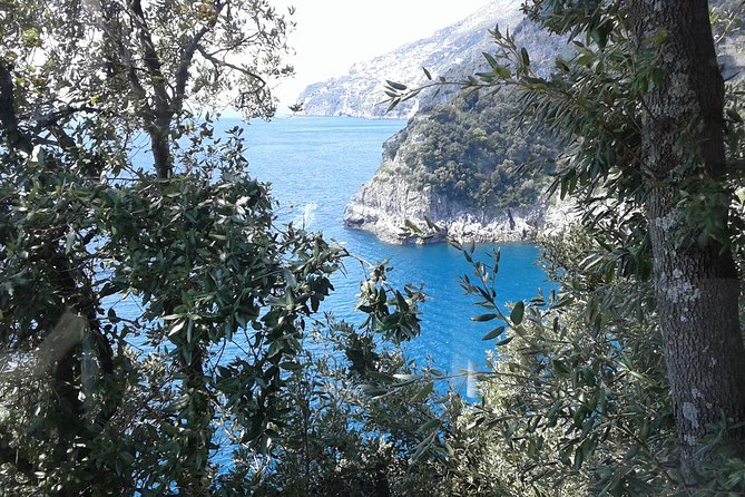Minivan Tour | Amalfi Ravello and Pompeii with driver - Ravello: one hour above the coast