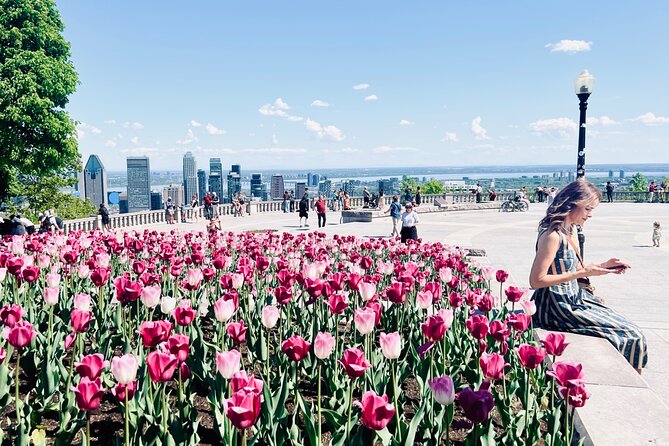Montreal: 3-Hour Private Car Tour with Expert & Free Pick up - Bonsecours Market and Place Jacques-Cartier
