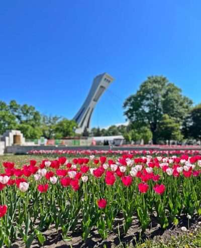 Montreal 3-Hour Private Car Tour with Expert Local Guide