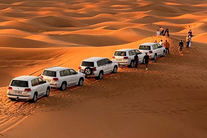 Morning Safari (Private Car) - Key points at a glance