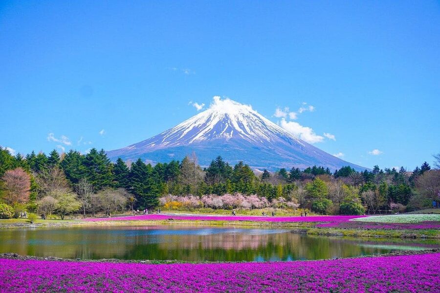 Mount Fuji - Private Tour with English Speaking Chauffeur - Mount Fuji 5th Station: the higher mountain option