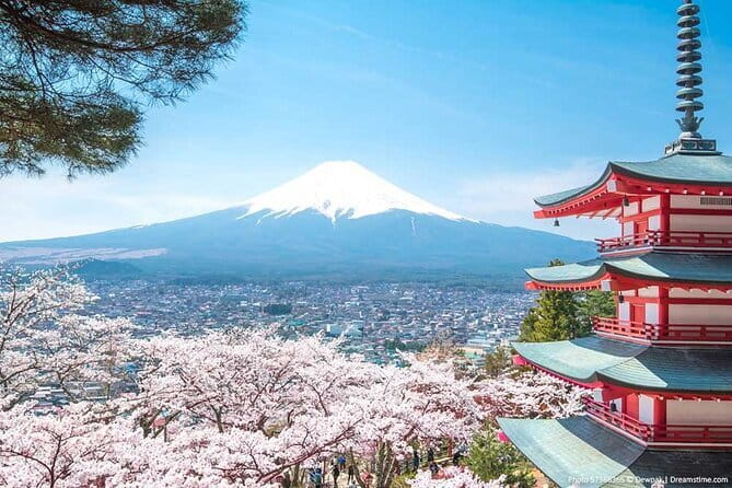 Mount Fuji Sightseeing Private tour w English speaking chauffeur - Narusawa Ice Cave beneath the forest