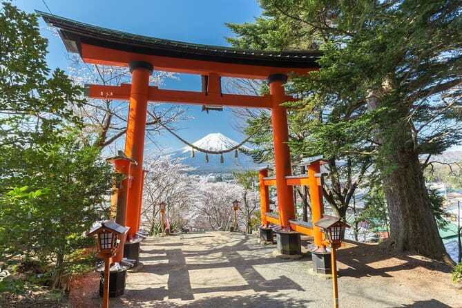 Mount Fuji Sightseeing Private tour w English speaking chauffeur - Chureito Pagoda and the climb at Arakura Fuji Sengen Shrine