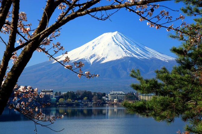 Mt. Fuji and Lake Kawaguchi Day Trip with Private Car - Key things to know before booking