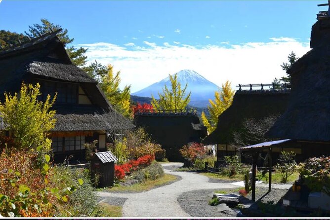 Mt Fuji Exclusive Tour with Private Car English Guide - Saiko Iyashi no Sato Nenba for traditional houses